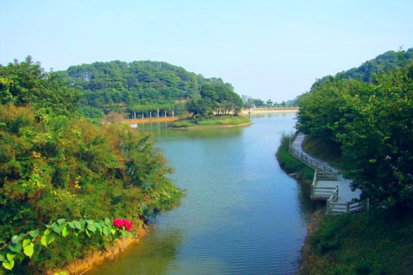 廣州蜂道野戰拓展基地
